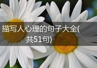 描写人心理的句子大全(共51句)