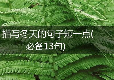 描写冬天的句子短一点(必备13句)