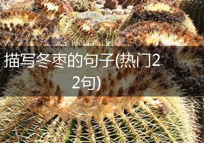 描写冬枣的句子(热门22句)