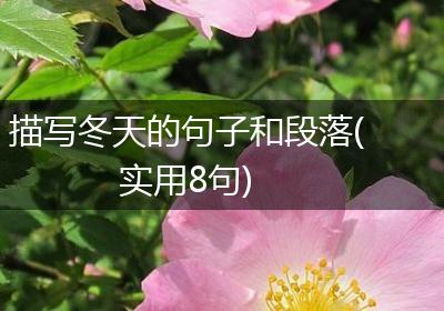 描写冬天的句子和段落(实用8句)