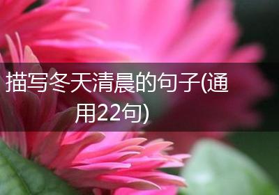 描写冬天清晨的句子(通用22句)
