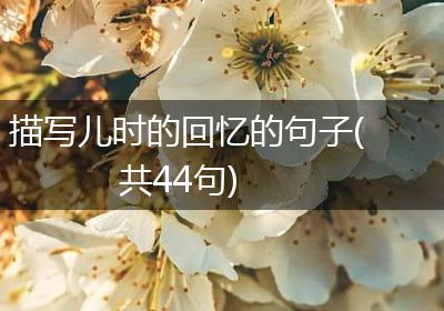 描写儿时的回忆的句子(共44句)