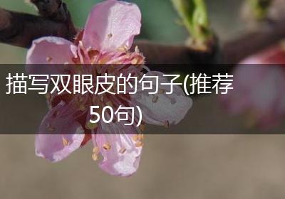 描写双眼皮的句子(推荐50句)