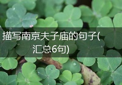 描写南京夫子庙的句子(汇总6句)