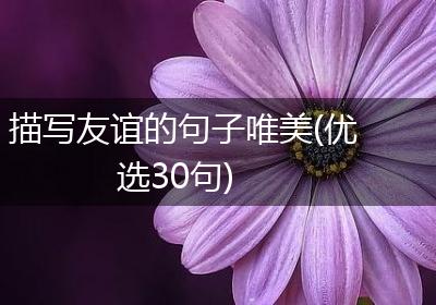 描写友谊的句子唯美(优选30句)