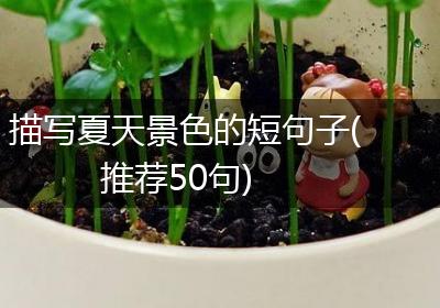 描写夏天景色的短句子(推荐50句)