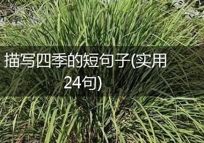 描写四季的短句子(实用24句)