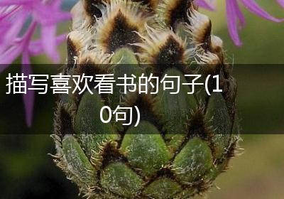 描写喜欢看书的句子(10句)