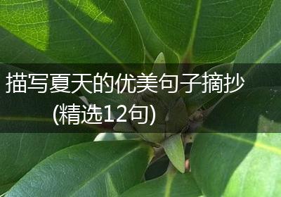 描写夏天的优美句子摘抄(精选12句)