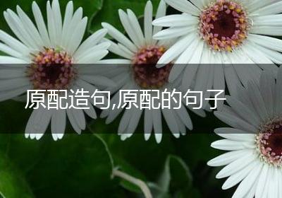 原配造句,原配的句子