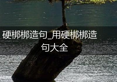 硬梆梆造句_用硬梆梆造句大全
