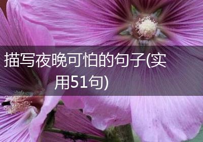 描写夜晚可怕的句子(实用51句)