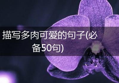 描写多肉可爱的句子(必备50句)