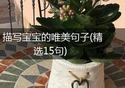 描写宝宝的唯美句子(精选15句)