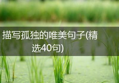 描写孤独的唯美句子(精选40句)