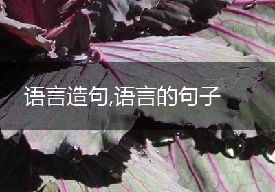 语言造句,语言的句子