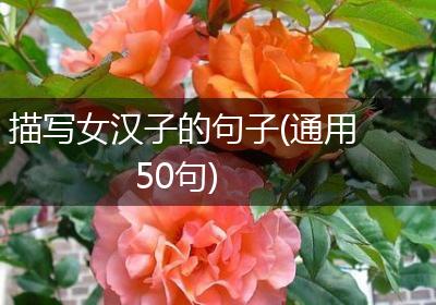描写女汉子的句子(通用50句)