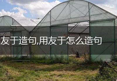 友于造句,用友于怎么造句