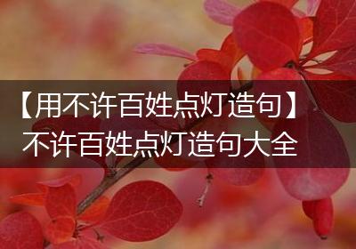【用不许百姓点灯造句】不许百姓点灯造句大全