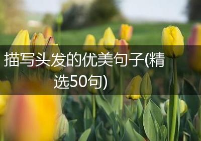 描写头发的优美句子(精选50句)