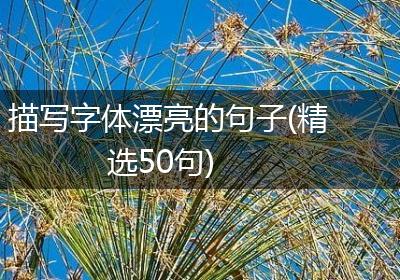 描写字体漂亮的句子(精选50句)