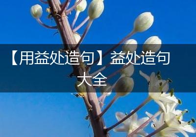 【用益处造句】益处造句大全