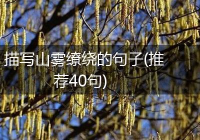 描写山雾缭绕的句子(推荐40句)