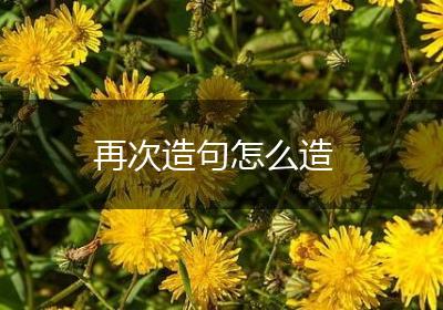 再次造句怎么造