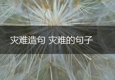 灾难造句 灾难的句子