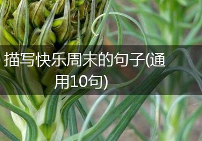 描写快乐周末的句子(通用10句)