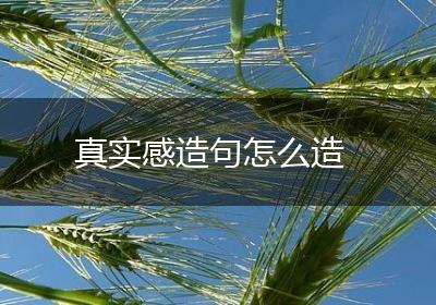 真实感造句怎么造