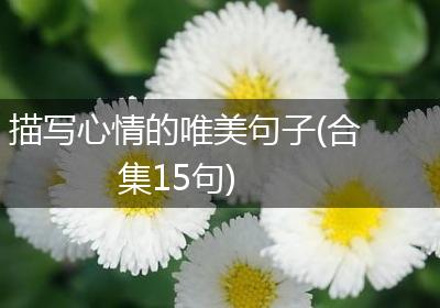 描写心情的唯美句子(合集15句)