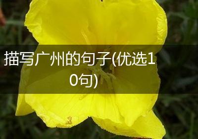 描写广州的句子(优选10句)