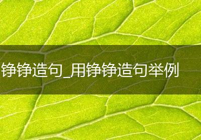 铮铮造句_用铮铮造句举例