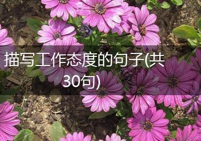 描写工作态度的句子(共30句)