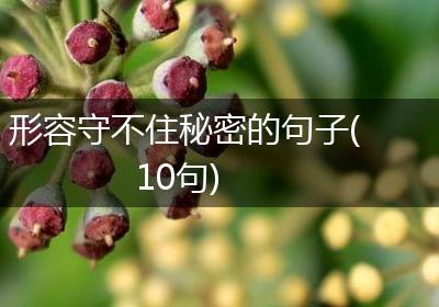 形容守不住秘密的句子(10句)