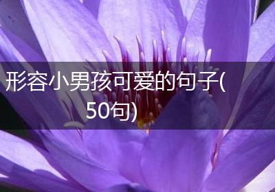 形容小男孩可爱的句子(50句)