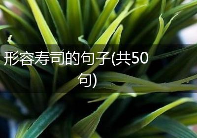 形容寿司的句子(共50句)