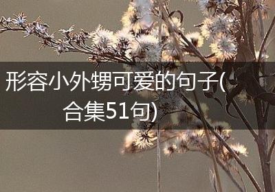 形容小外甥可爱的句子(合集51句)
