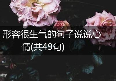 形容很生气的句子说说心情(共49句)