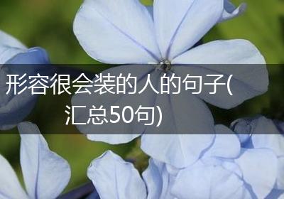 形容很会装的人的句子(汇总50句)