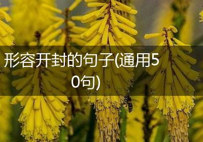 形容开封的句子(通用50句)