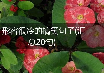 形容很冷的搞笑句子(汇总20句)