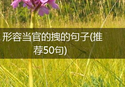 形容当官的拽的句子(推荐50句)