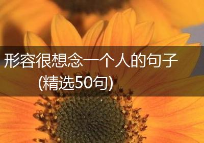 形容很想念一个人的句子(精选50句)