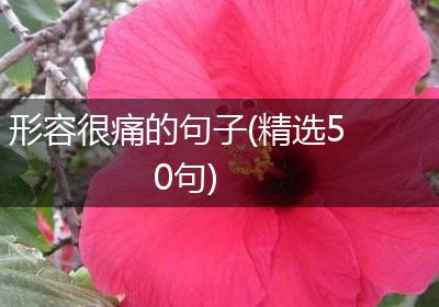 形容很痛的句子(精选50句)