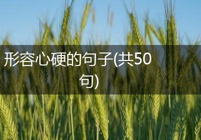 形容心硬的句子(共50句)