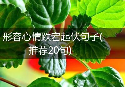 形容心情跌宕起伏句子(推荐20句)
