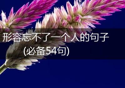 形容忘不了一个人的句子(必备54句)