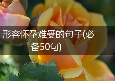 形容怀孕难受的句子(必备50句)